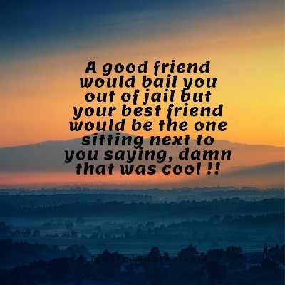 A cool friendship