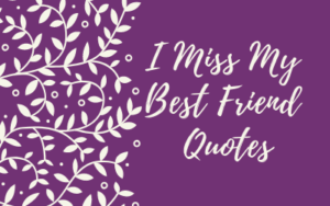 I Miss My Best Friend Quotes